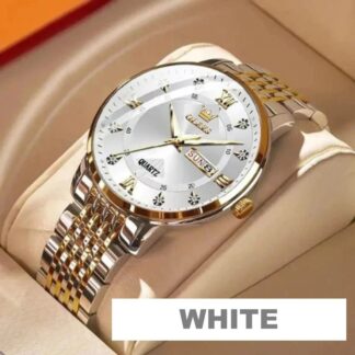 OLEVS Model 1020 Men's Stainless Steel Watch